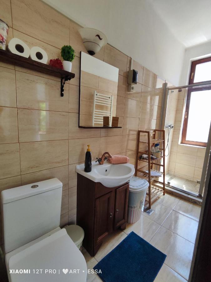 Apartament Buon Gusto,Near Main Square And Liar Bridge,Historical Side Of City Center Сібіу Екстер'єр фото